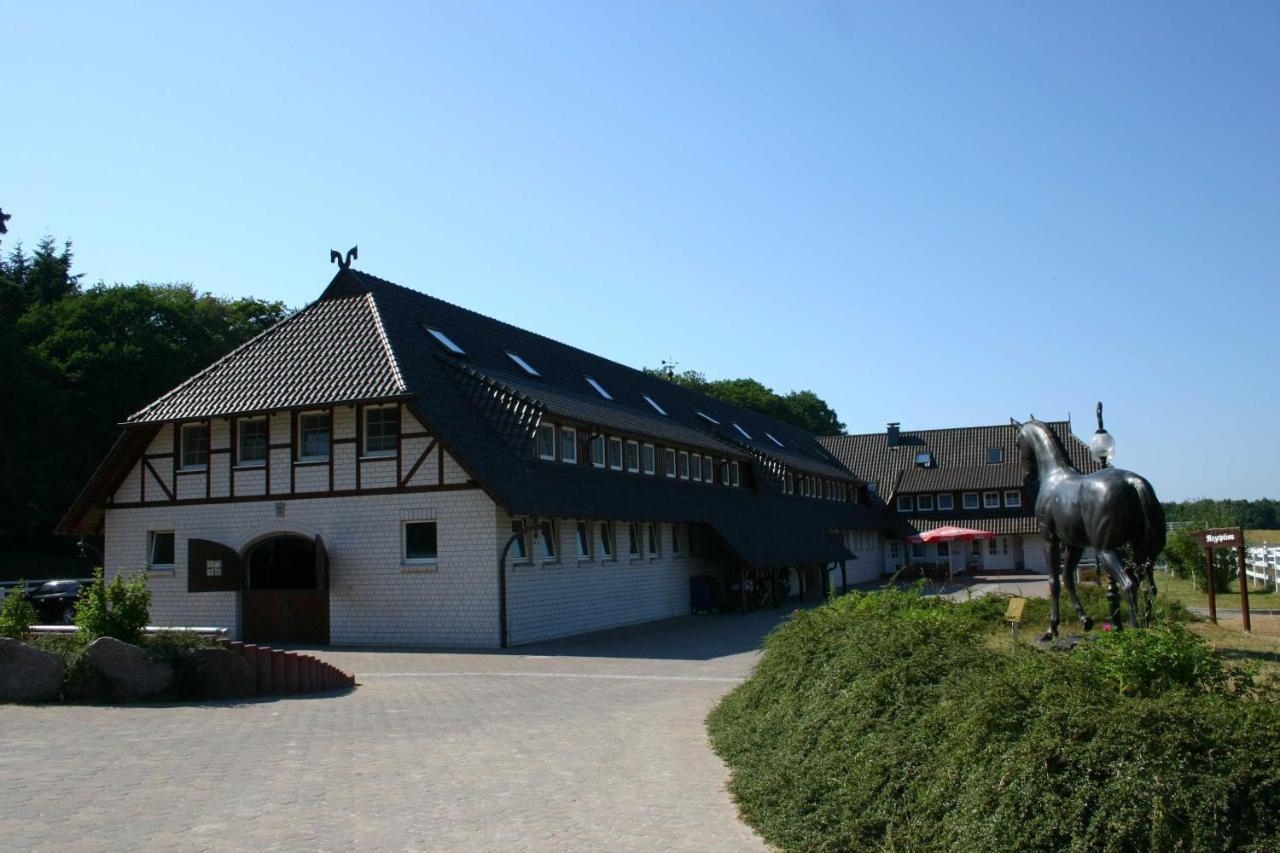 Stoertebeker Appartements - "Stoertebeker Pferdehof" Ralswiek Kültér fotó